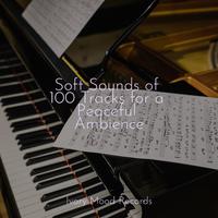 Soft Sounds of 100 Tracks for a Peaceful Ambience