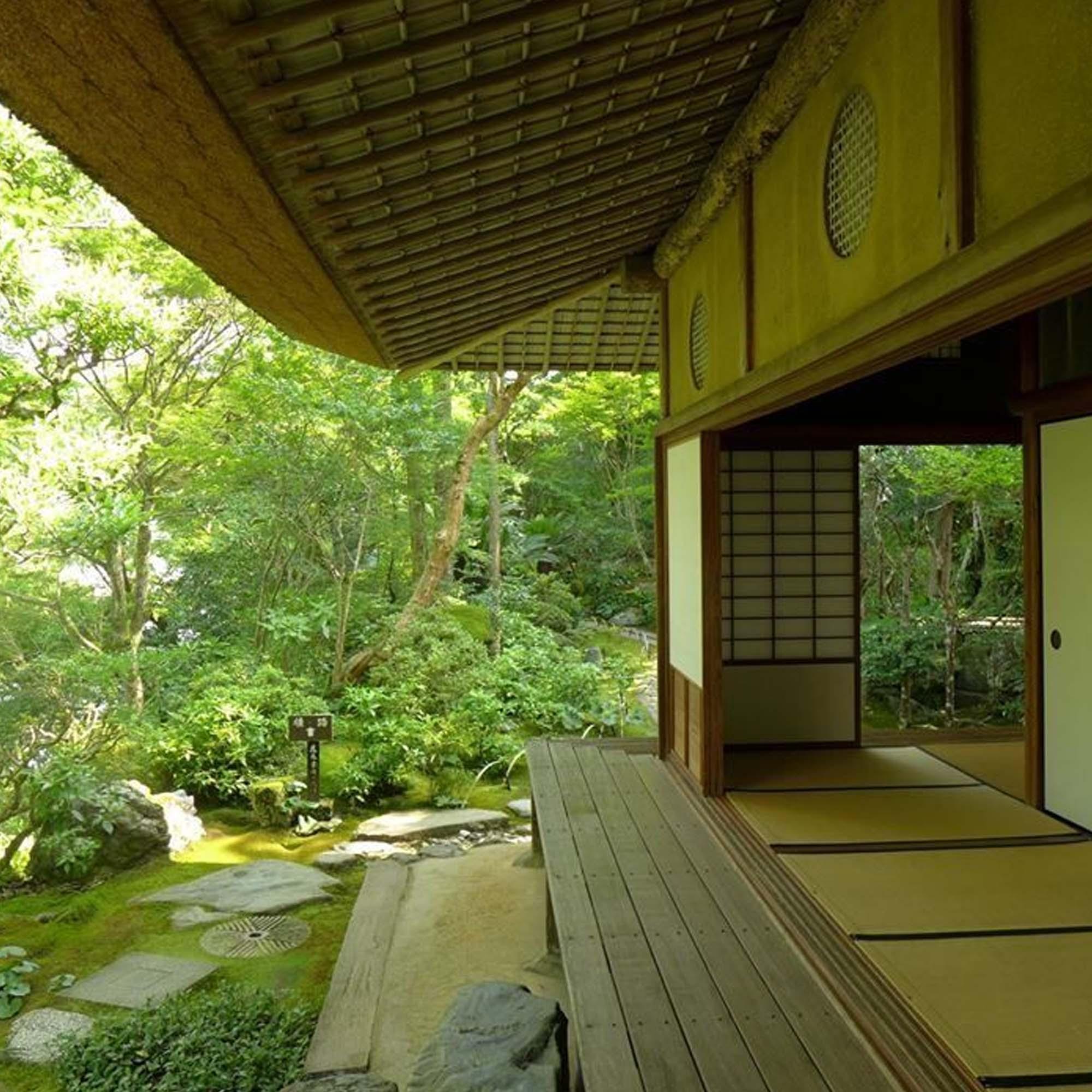 Lightning Moment(竖琴版)