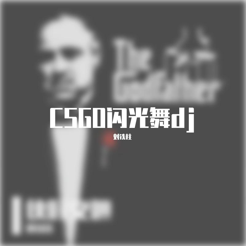 CSGO闪光舞dj版（刘铁柱 remix）封面