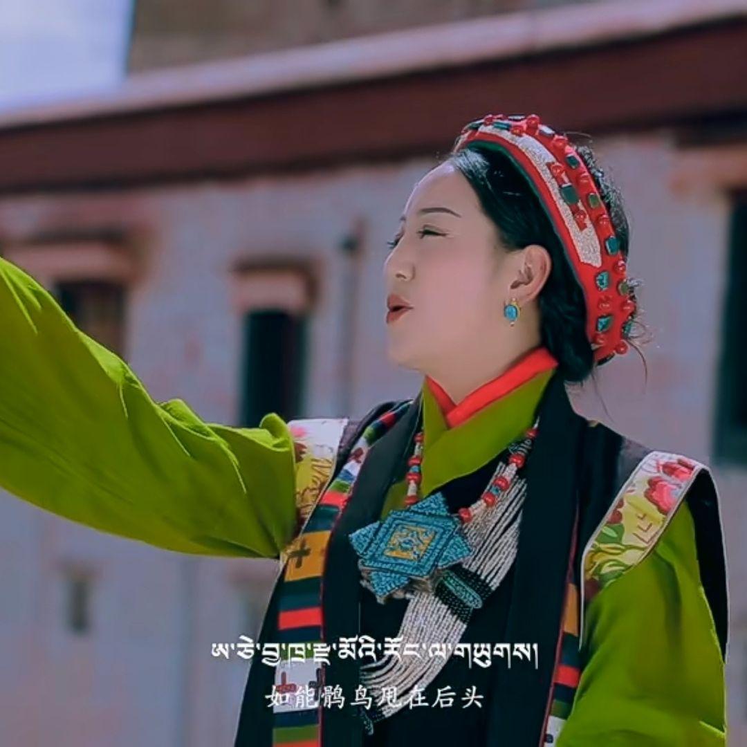 随心所欲封面