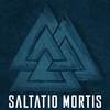 Saltatio Mortis - Odins Raben