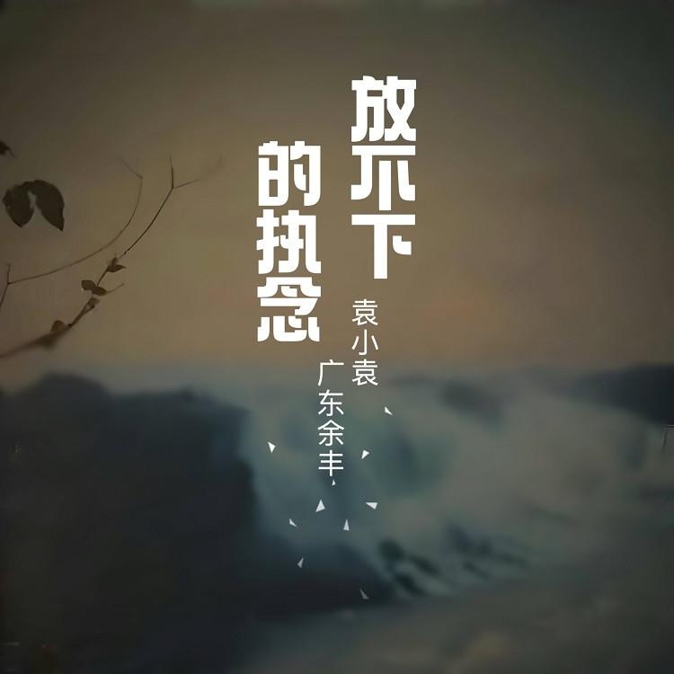 放不下的执念 (国粤对唱版)封面