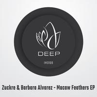 Macaw Feathers EP