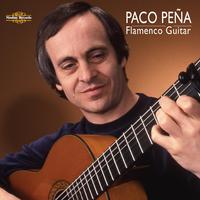 Flamenco Guitar