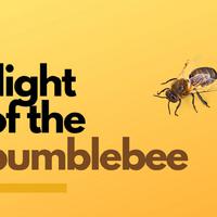 Flight of the Bumblebee