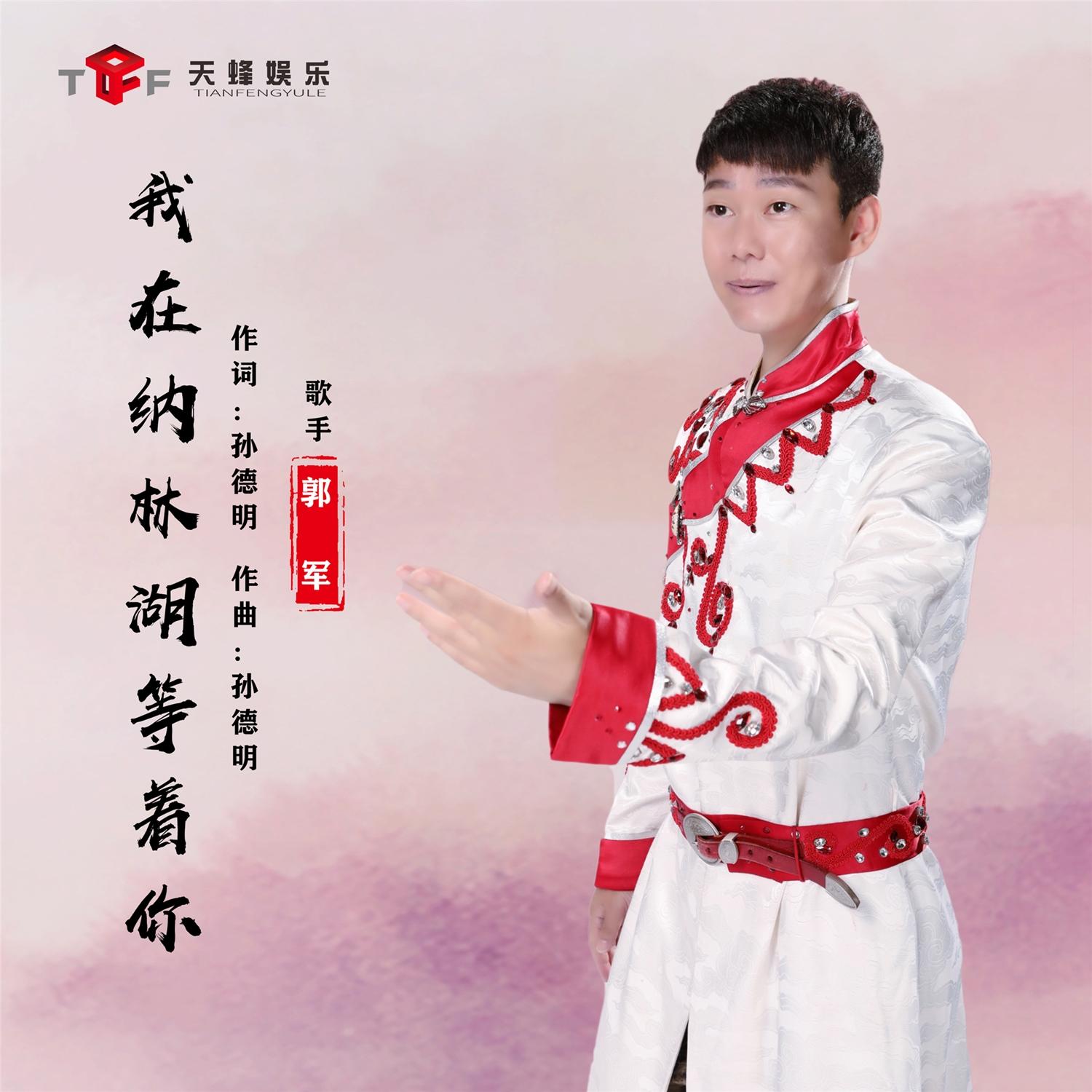 我在纳林湖等着你封面