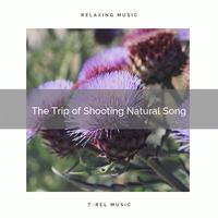 ! ! ! ! The Trip of Soothing Natural Song