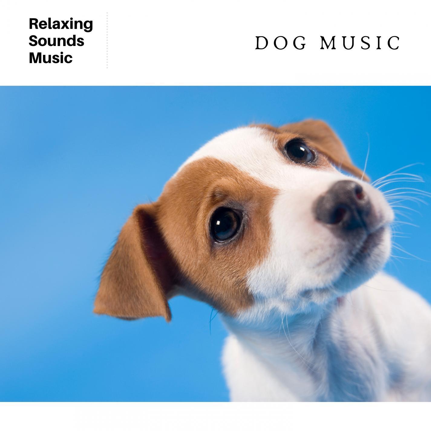 Music for Dogs