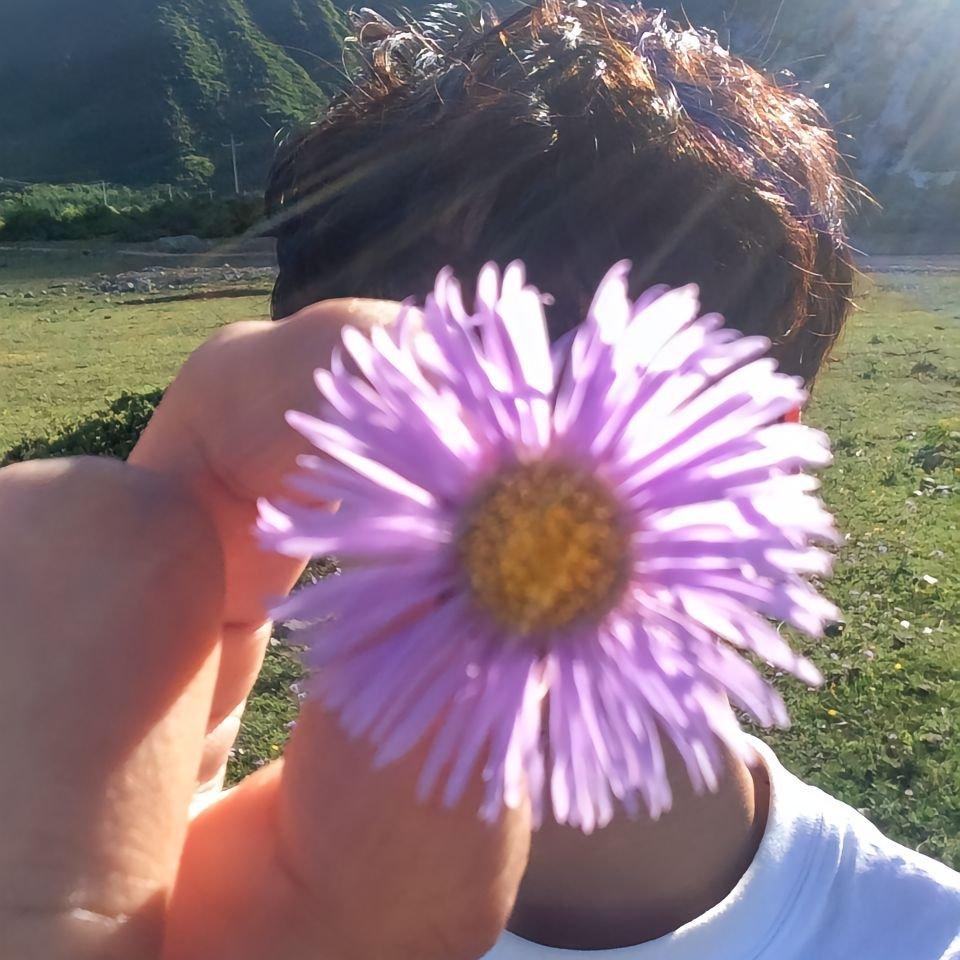 『INFP幻想乡』“人生是旷野不是轨道”