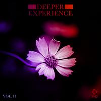 Deeper Experience, Vol. 11