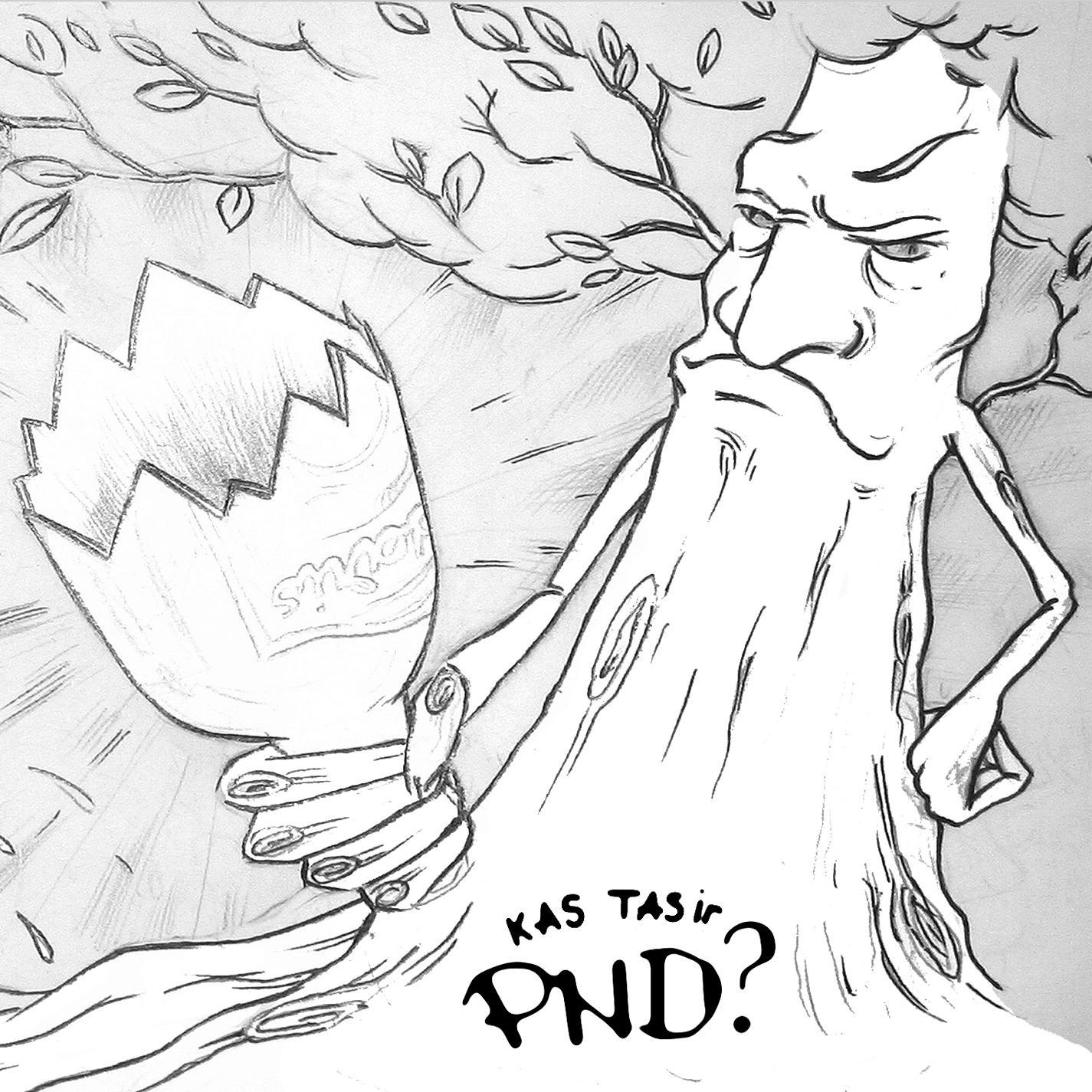 Meitene (Lēnā) (Akustiski)