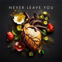 Never Leave You