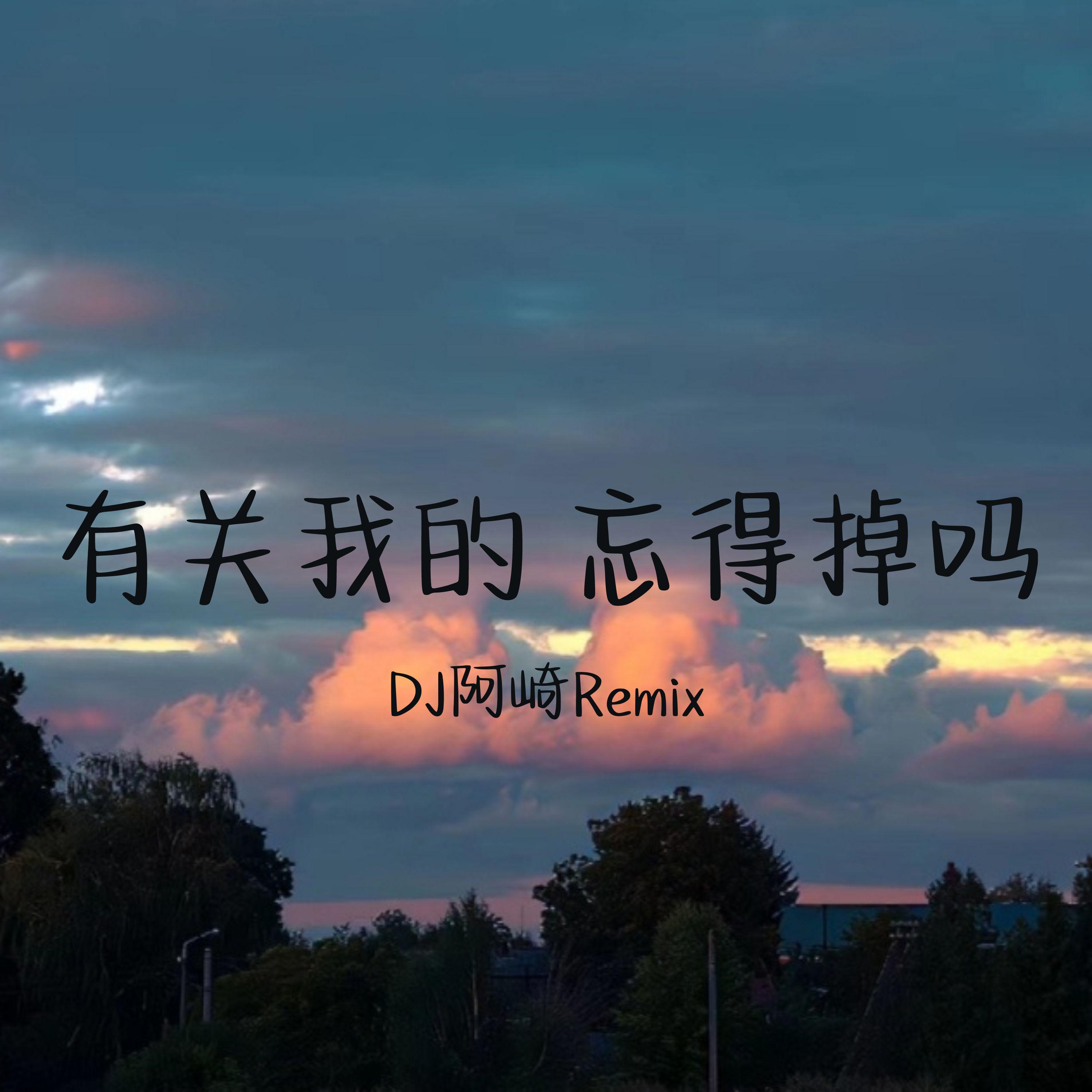 我最大的野心 就是自由一生 - DJ阿崎Remix封面
