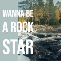 Wanna Be A Rock Star