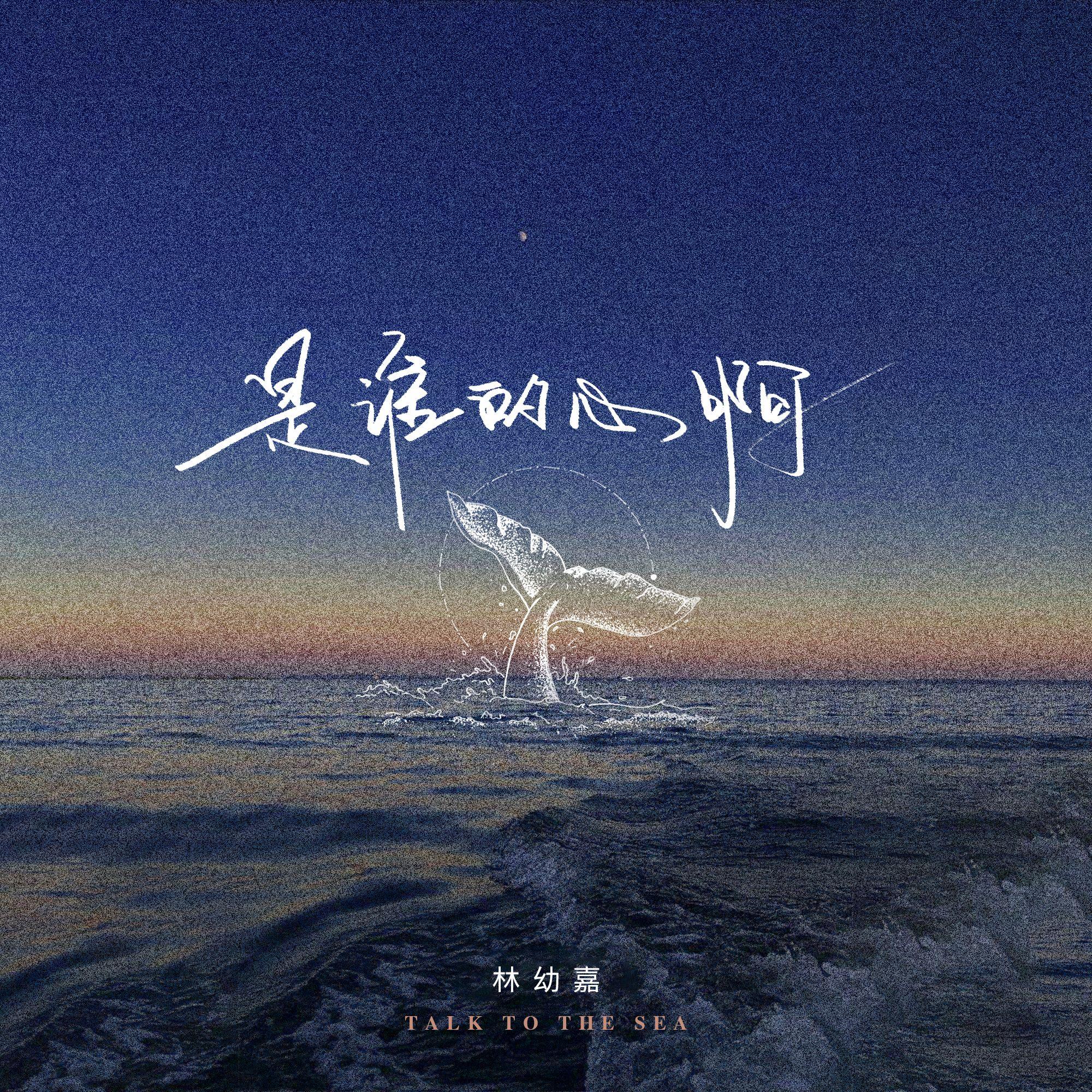 心跳的证明 伴奏