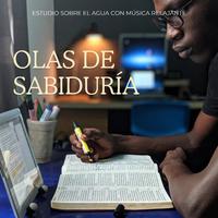 Olas De Sabiduría: Estudio Sobre El Agua Con Música Relajante