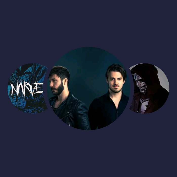 你的兴趣歌单|Vicetone、Narvent、VØJ