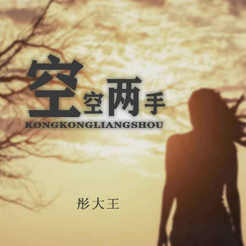 空空两手 (DJ默涵版)封面