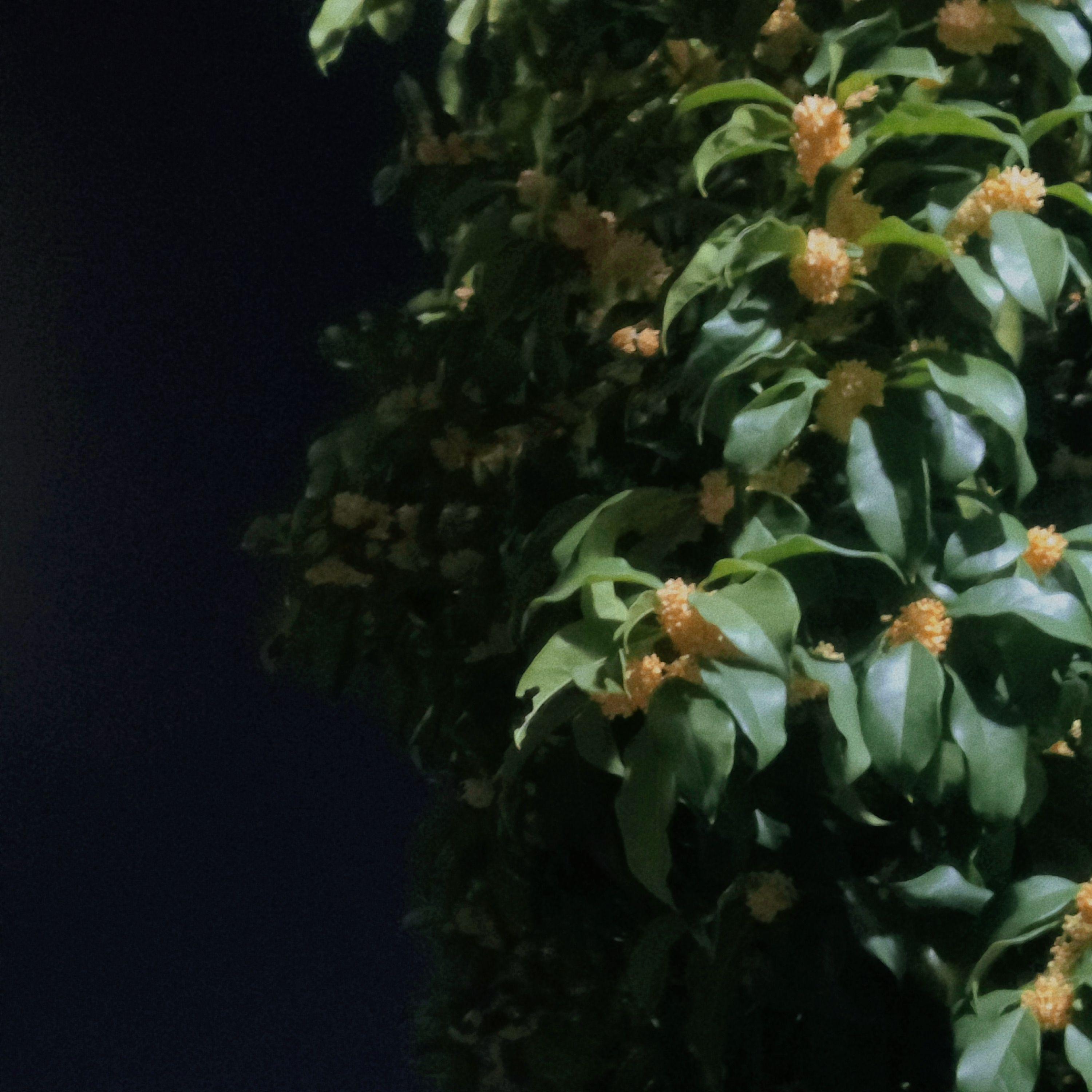 总有一天你会出现在我身边