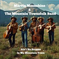 Ain't No Browns In My Mountain Town (feat. Marvin Moonshine & The Mountain Townsfolk Band)