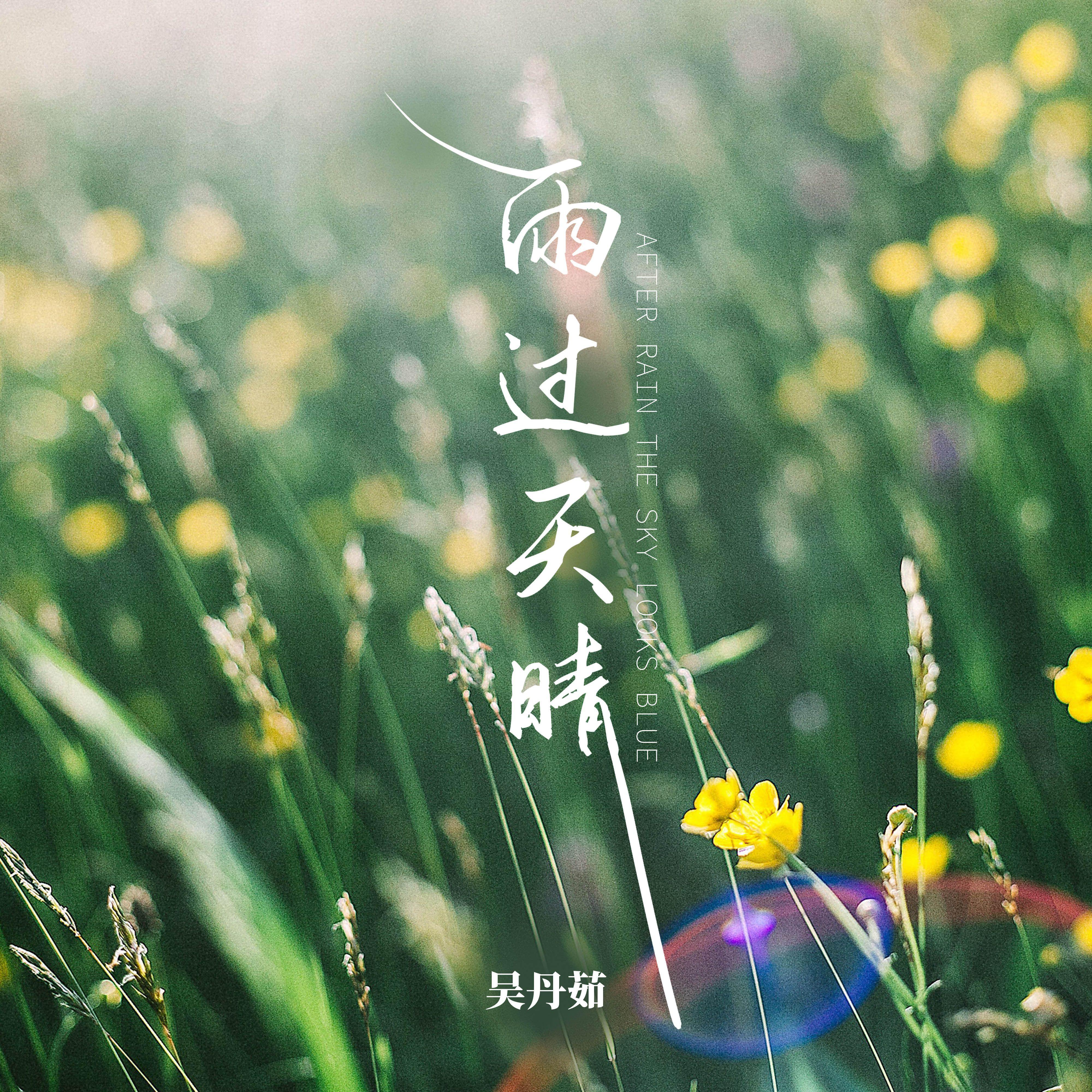 雨过天晴 (伴奏) - 吴丹茹封面