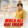 Mola Ali Hai Imam