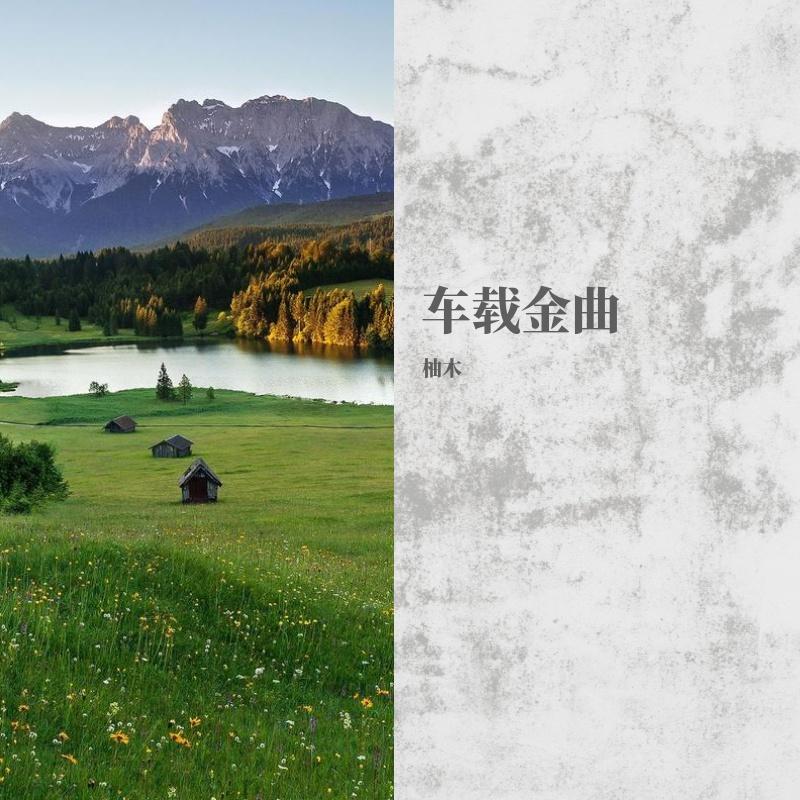 别怕我伤心/听见有人叫你宝贝/爱情少尉/爱如潮水 - 柚木封面