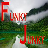 Funky Junky