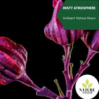 Misty Atmosphere - Ambient Nature Music