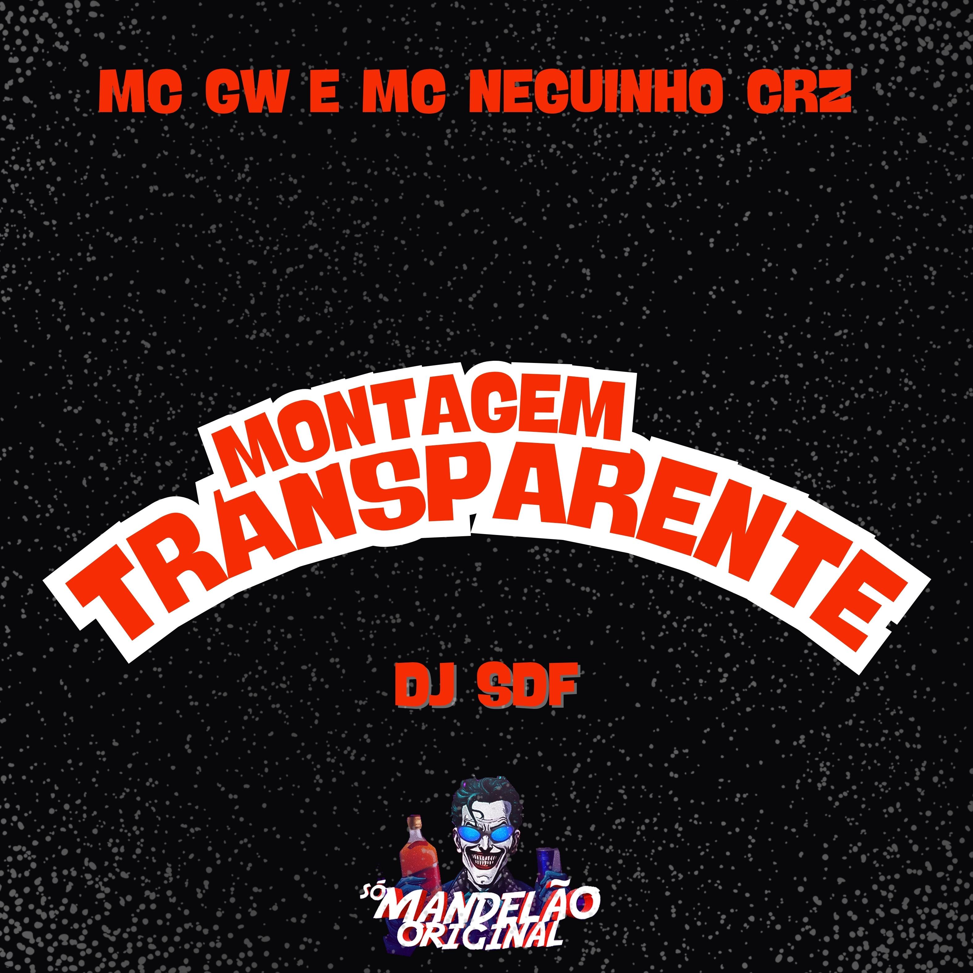 Montagem Transparente