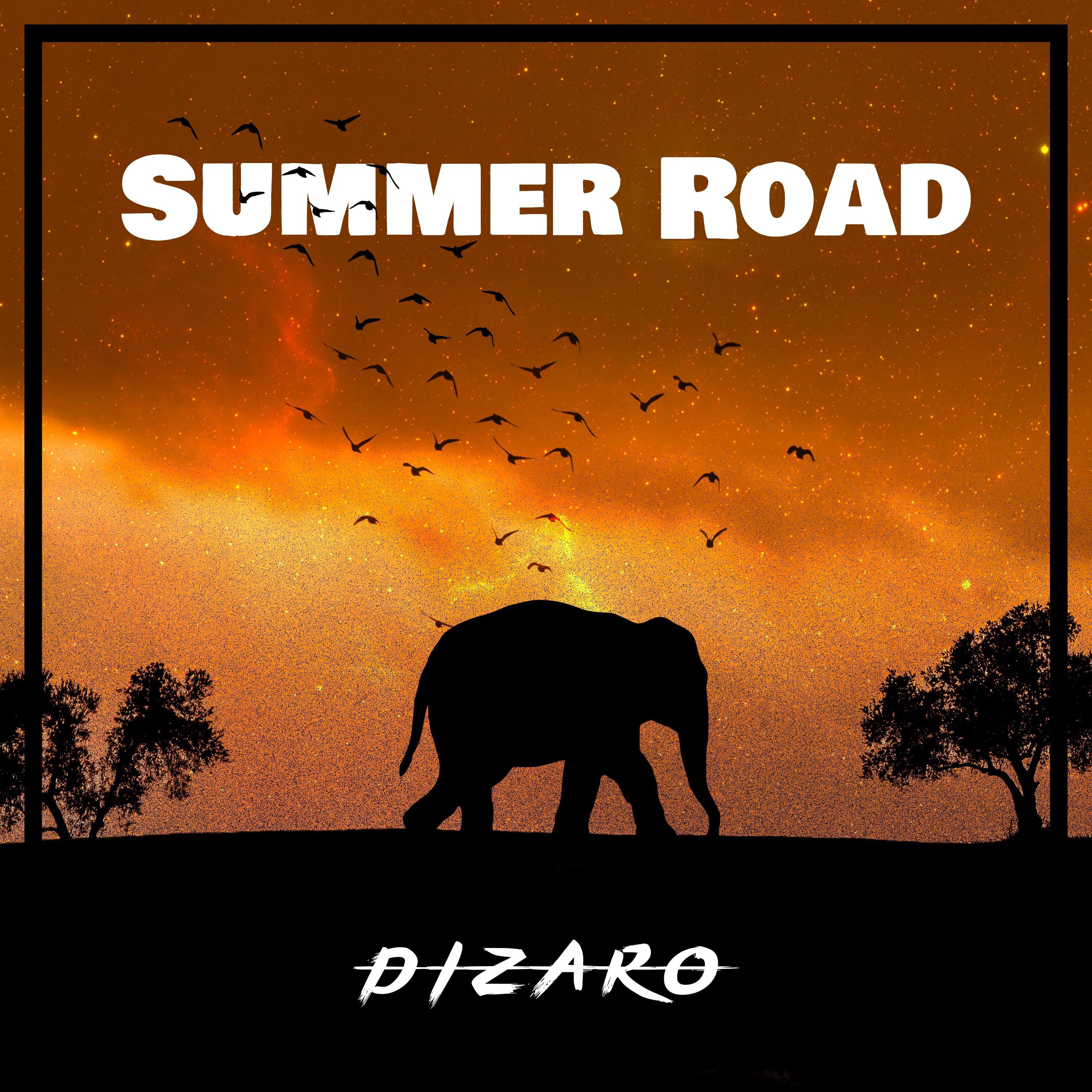 Safari_Dizaro_Summer Road | 在线播放_Safari歌词_Safari下载 | 网易云音乐