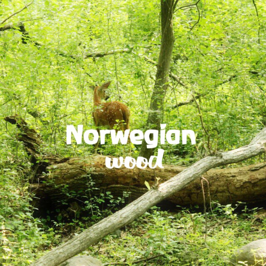 Norwegian wood