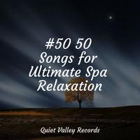 #50 50 Songs for Ultimate Spa Relaxation For Dogs