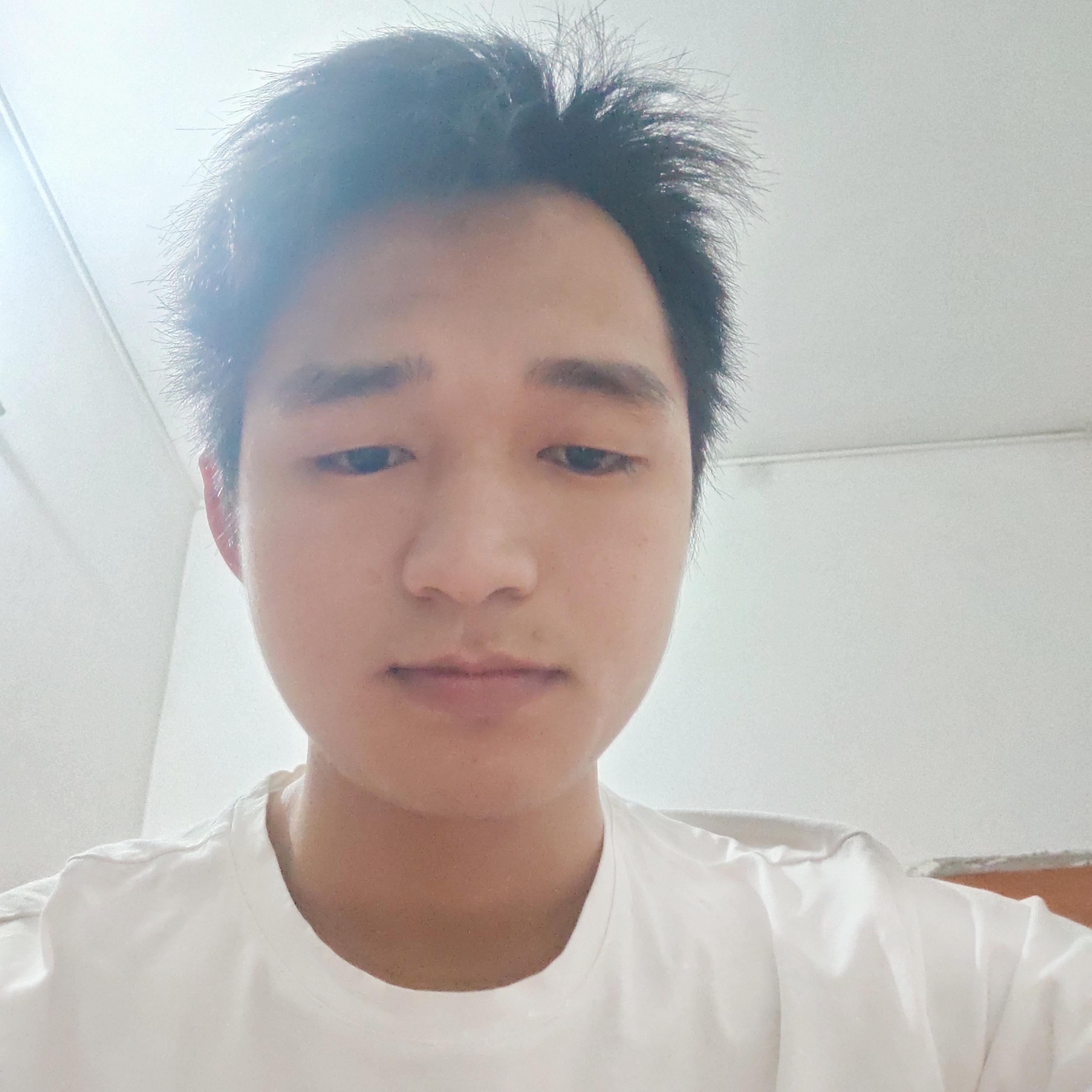 甘心情愿爱着你封面