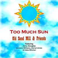 Too Much Sun (Single Mix) (feat. Jerry Douglas, Deniece Williams, Darryl Jones & Gabriel Witcher) [Radio Edit]