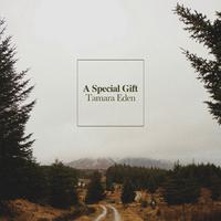 A Special Gift