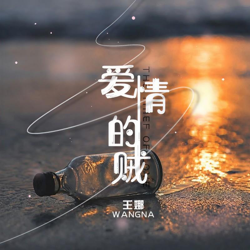 爱情的贼 (DJ默涵版) - 王娜封面