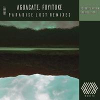 Paradise Lost Remixes