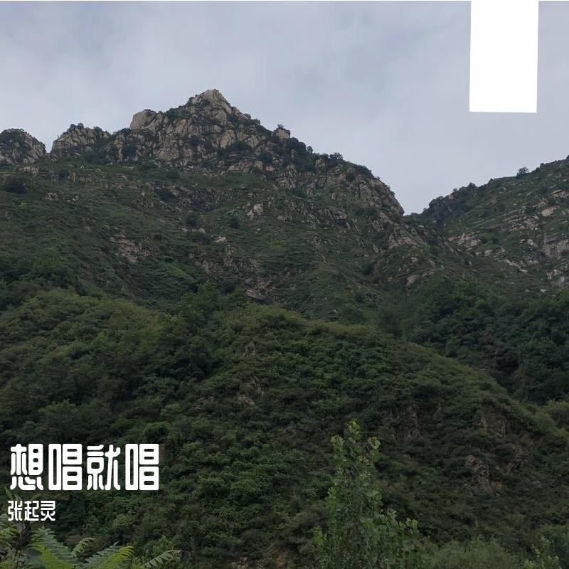 七月上live封面