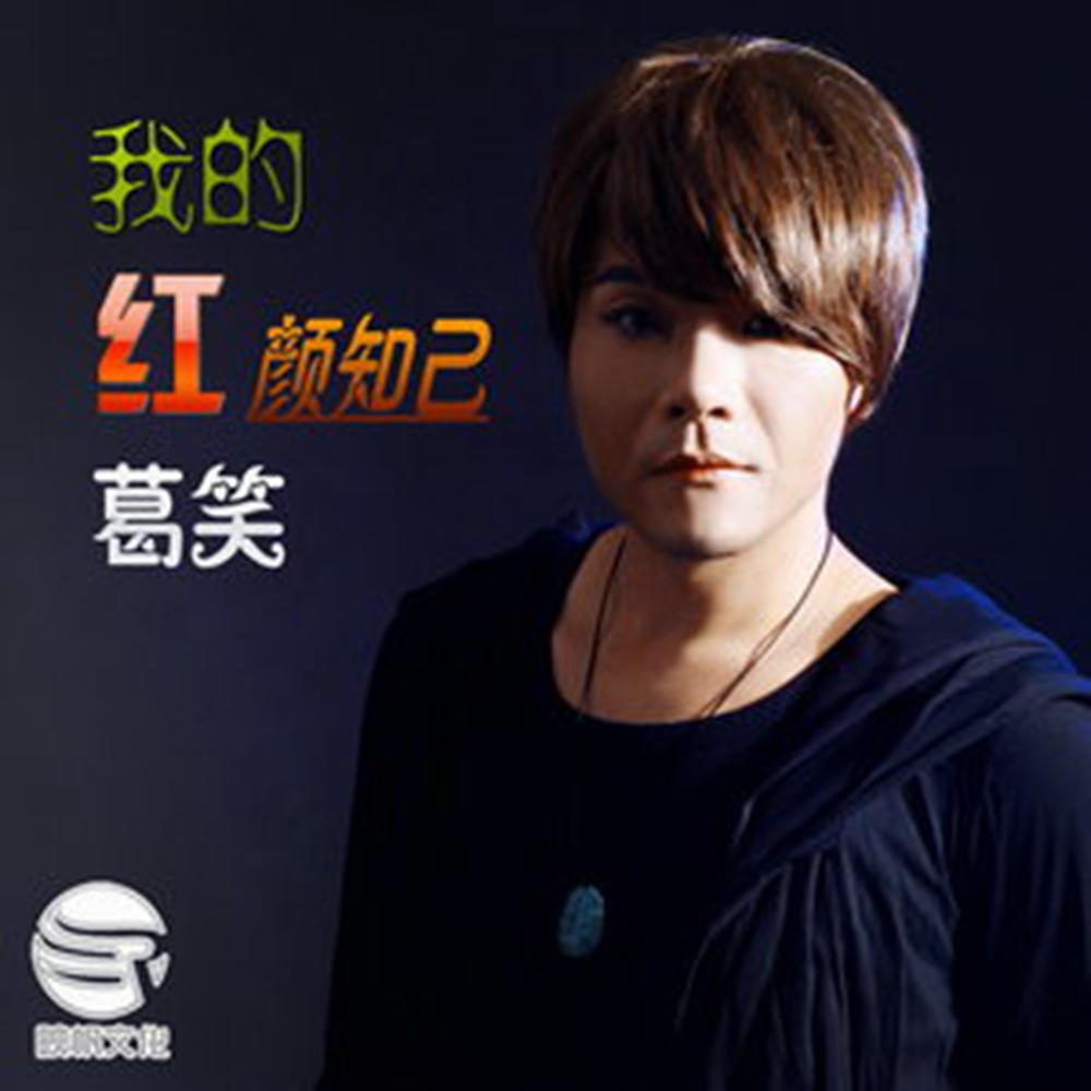 我的红颜知己封面