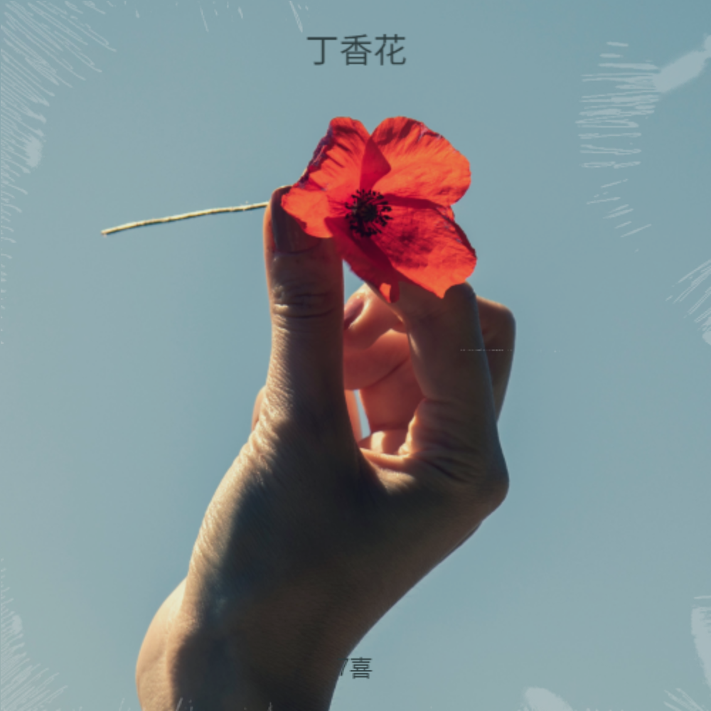 丁香花（DJ版）封面