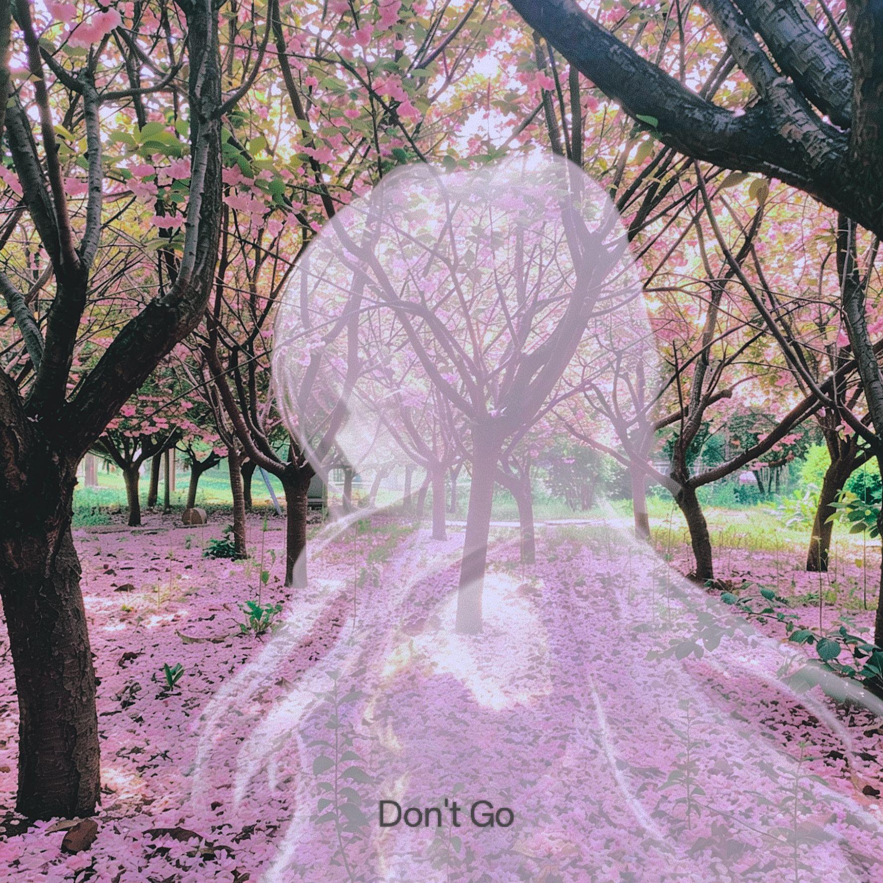 DontGo - Emptybox、星尘封面