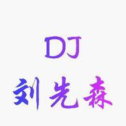 dj-刘先森