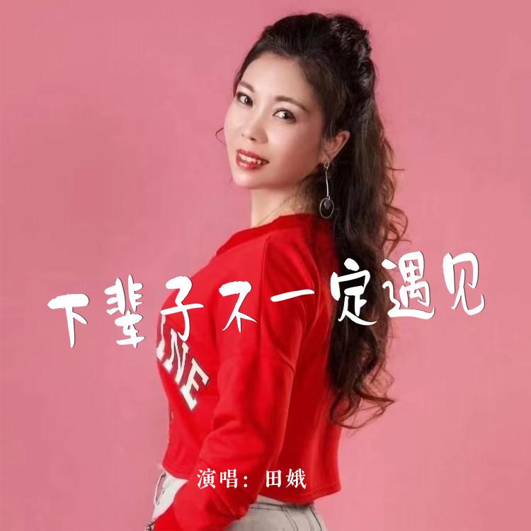 下辈子不一定遇见 (Live合唱版伴奏) - 田娥封面