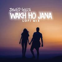 Wakh Ho Jana - Lofi Mix