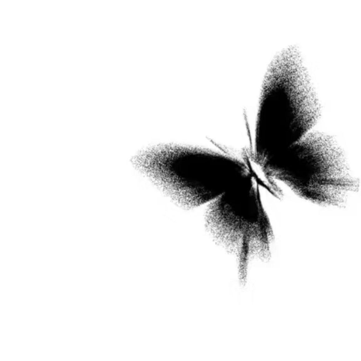 我记得（你的名字和部首偏旁）