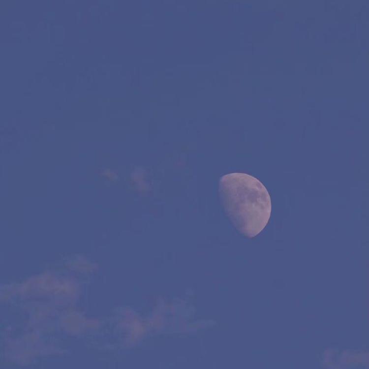 慈悲刀（翻自 以冬）