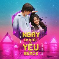 Ngày Em Biết Yêu Remix