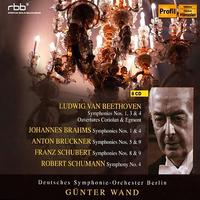Orchestral Music - BEETHOVEN, L. van / SCHUBERT, F. / SCHUMANN, R. / BRAHMS, J. / BRUCKNER, A. (Deutsches Symphonie-Orchester Berlin, Wand)