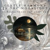 Gentle Harmony in the Moonlight: Stars Serenade the Quiet Sky